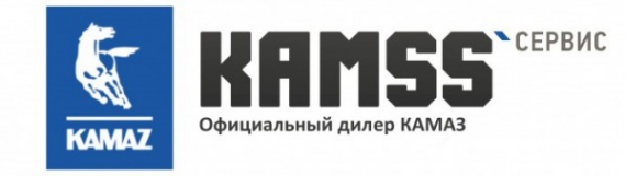 Логотип компании КАМСС-Сервис