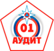 Логотип компании Аудит-01